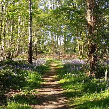 Hollicarrs - Cherry Blossom Lodge Riccall