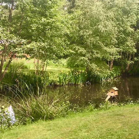 Hollicarrs - Cherry Blossom *