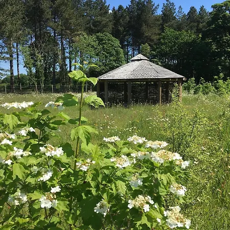 Hollicarrs - Cherry Blossom 山林小屋