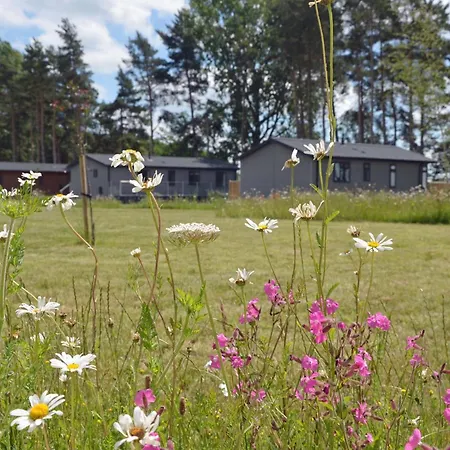 Hollicarrs - Cherry Blossom 山林小屋