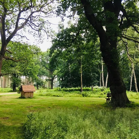 山林小屋 Hollicarrs - Cherry Blossom Riccall