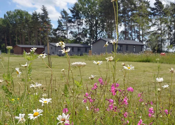 Hollicarrs - Cherry Blossom Lodge