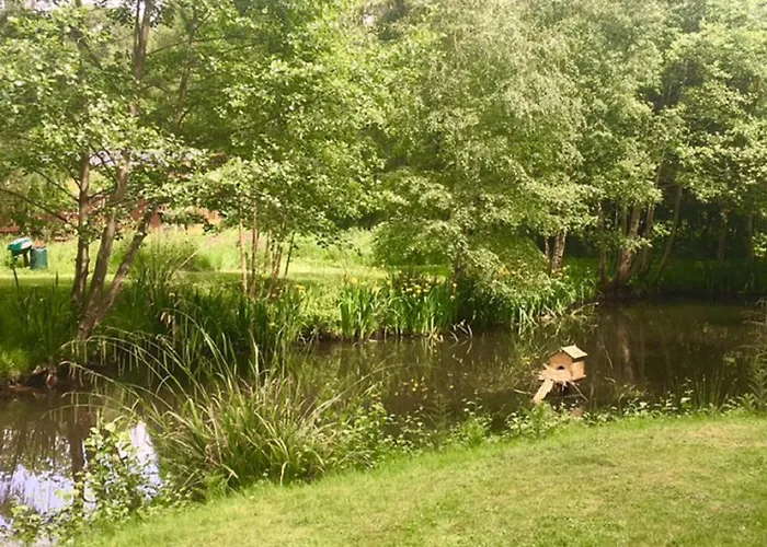 Hollicarrs - Cherry Blossom *